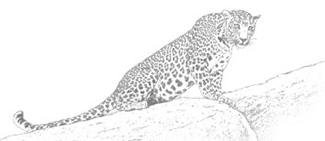 SUJÁN JAWAI