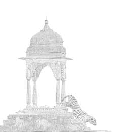 SUJÁN Sher Bagh