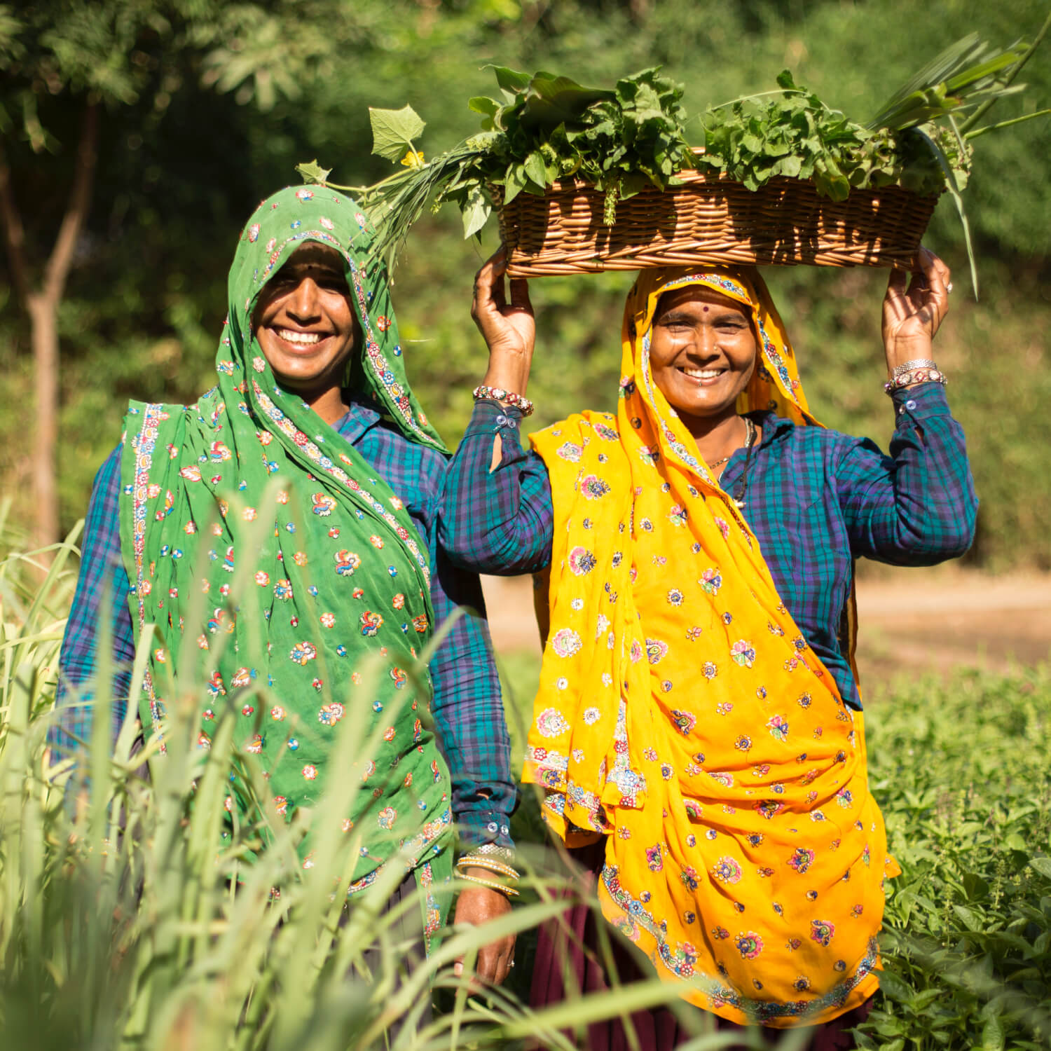 SUJÁN Sher Bagh - Farm to Table