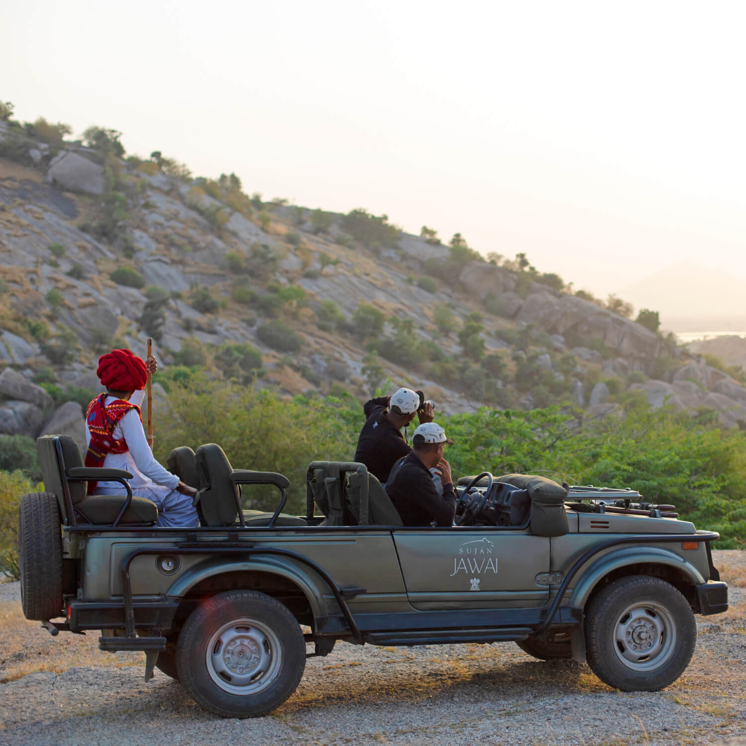 SUJÁN JAWAI - Wilderness Drives